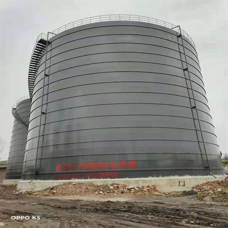 阜龙乡3万吨大型钢板库