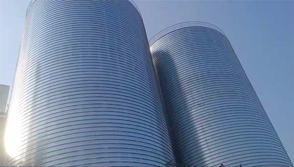 阜龙乡2座混凝土高架卷板仓